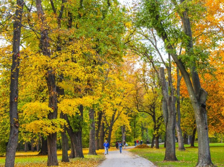 Featured image for Fall in Budapest post