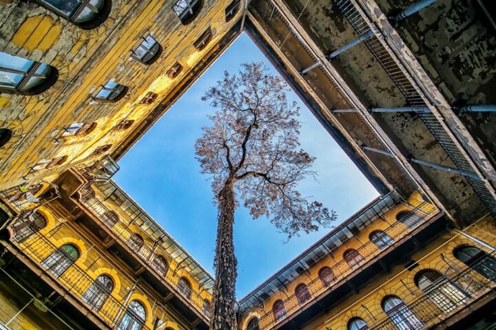 Featured image for Why to choose an independent agent instead of a larger agency? post