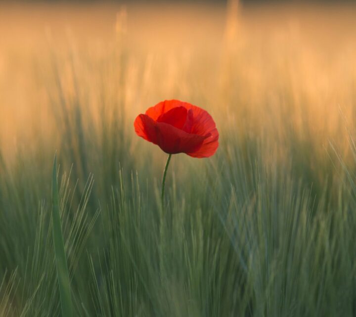 Featured image for What are the benefits of working with a buyer’s agent? post